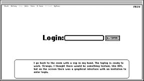Follow the Black Kitten