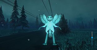 100 Nights In The Forest