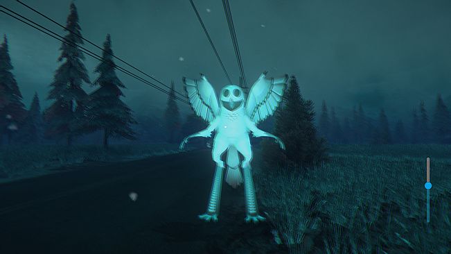 100 Nights In The Forest