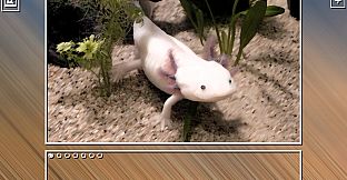 Super Jigsaw Puzzle: Generations - Mexico Puzzles