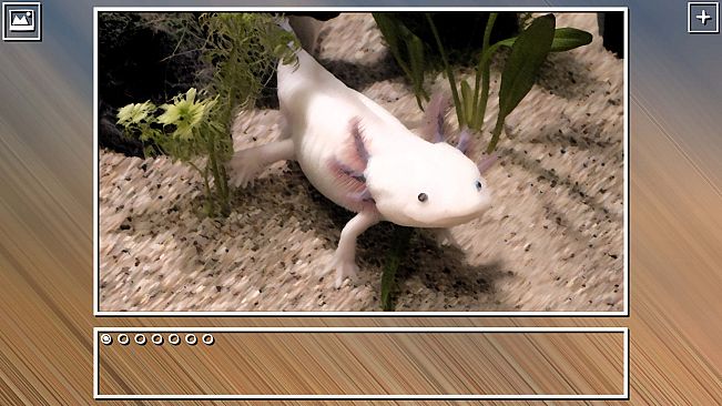 Super Jigsaw Puzzle: Generations - Mexico Puzzles