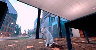 The Office Cat