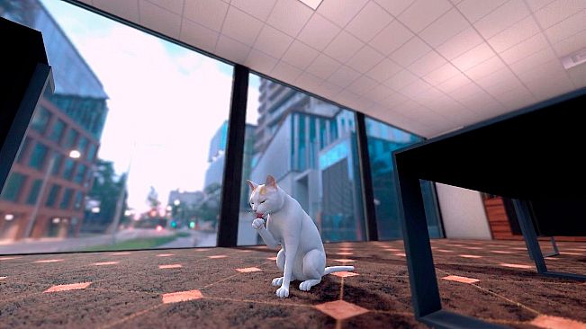 The Office Cat