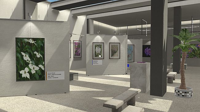 Plant Gallery: A Short Botanic Experience