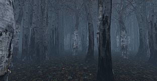 maze to the old castle