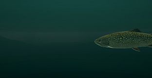 Ultimate Fishing Simulator - Taupo Lake DLC