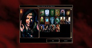 Neverwinter Nights: Heroes of Neverwinter