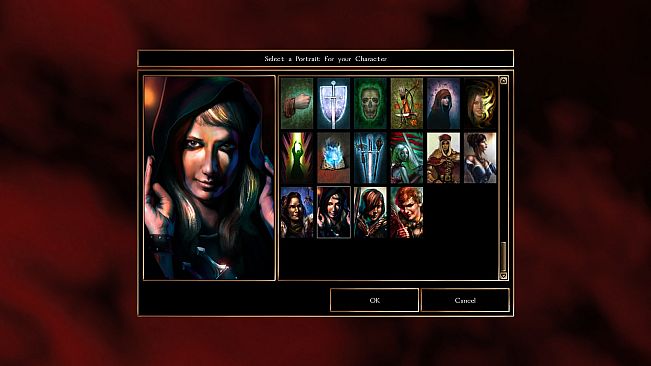 Neverwinter Nights: Heroes of Neverwinter