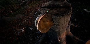 Tales From The Cache