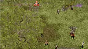 Catonium - out of chaos