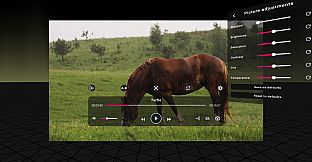 PLAY'A VR  Video Player