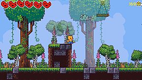 Chinchillas Attack Again