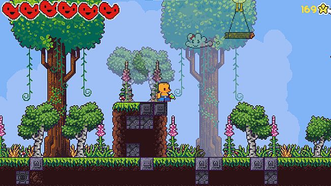 Chinchillas Attack Again