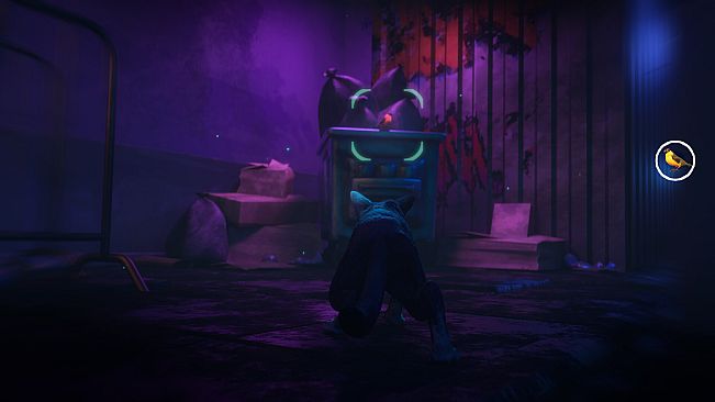 The Cat: Tales of Istanbul