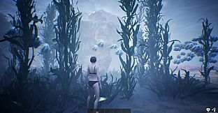 盗墓者手记 The Tomb Raider's Journal