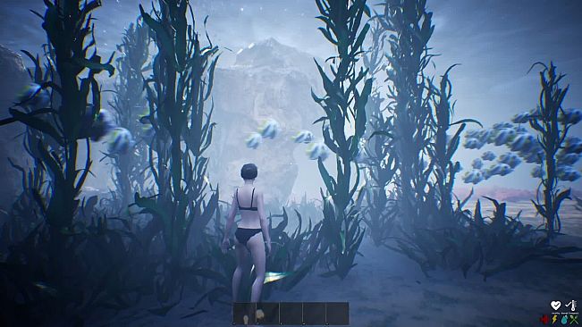 盗墓者手记 The Tomb Raider's Journal