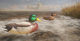 theHunter: Call of the Wild - Duck and Cover Pack