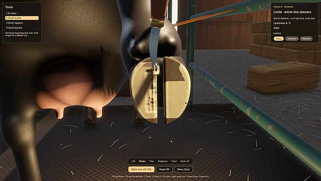 Hoof Trimmer Simulator