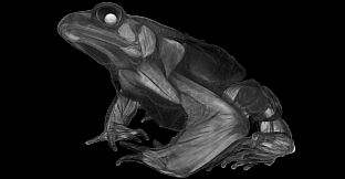 Tomography VR