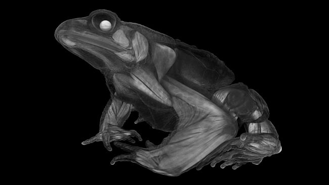 Tomography VR