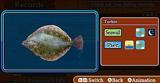 Reel it! Ocean Fishing