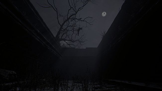 Bhangarh: The Untold Story