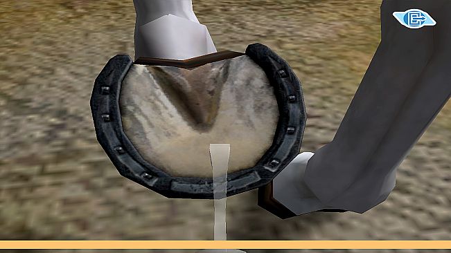 Riding Star - Horse Championship!