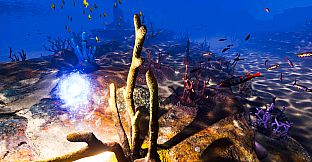 Essence of Illumination: The Beginning