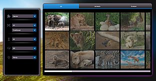 Let's Play Jigsaw Puzzles: At the Zoo