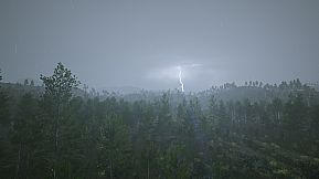 Tales From The Cache