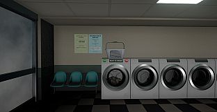 Laundromat Anomaly
