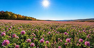 Puzzles Flowers