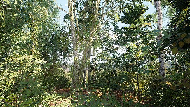 Russian Soul Simulator