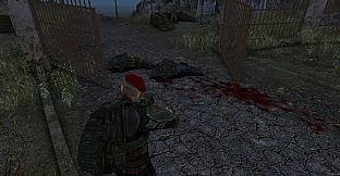 Anomaly Zone Renovation