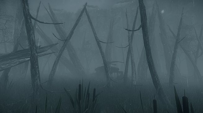 Investigator - Survivor Update