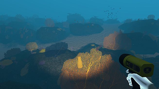 Dive with Sylvia VR