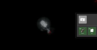 Auditum