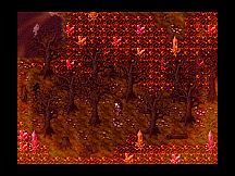 Путешествие паладина