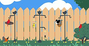Backyard Birdwatching