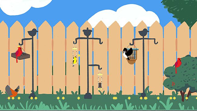 Backyard Birdwatching