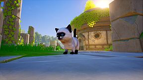 Cat Go! Ultimate Challenge