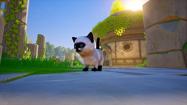 Cat Go! Ultimate Challenge