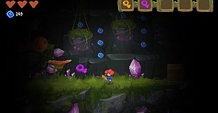 Potata: fairy flower