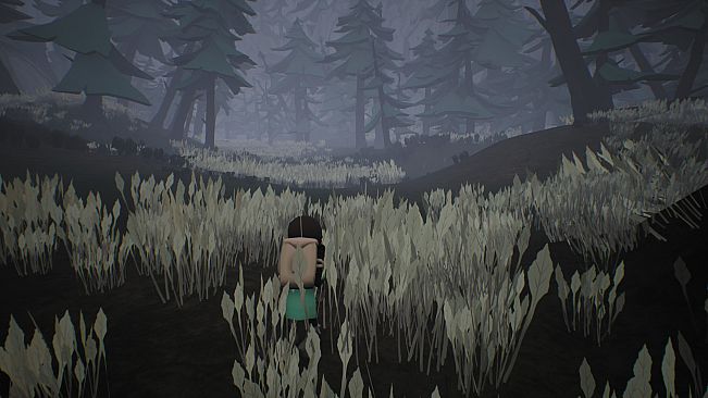 Bound Forest Alpha