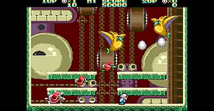 Snow Bros. Classic Collection