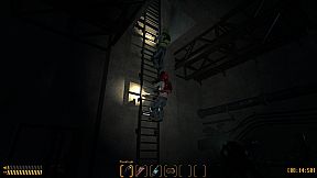 Black Pine: Incident Response