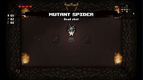 The Binding of Isaac: Rebirth