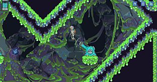 Galaxy Pilgrim