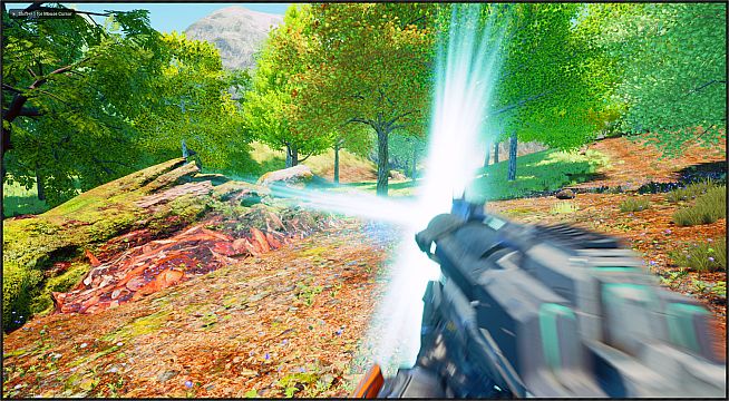 The Seasons Collection: Spring