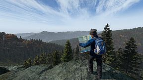 DayZ